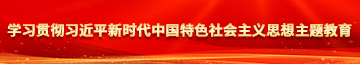 大几把草笔学习贯彻习近平新时代中国特色社会主义思想主题教育